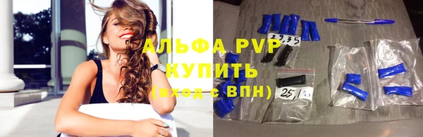 гидра Козловка