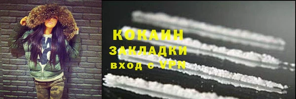 твердый Кодинск