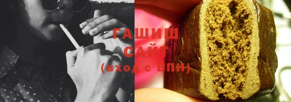 гашик Козельск