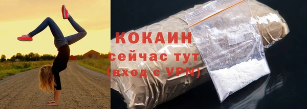 твердый Кодинск