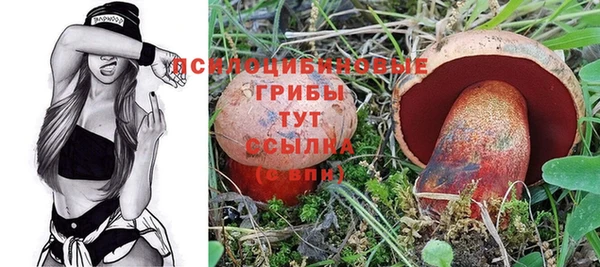 сатива Приозерск