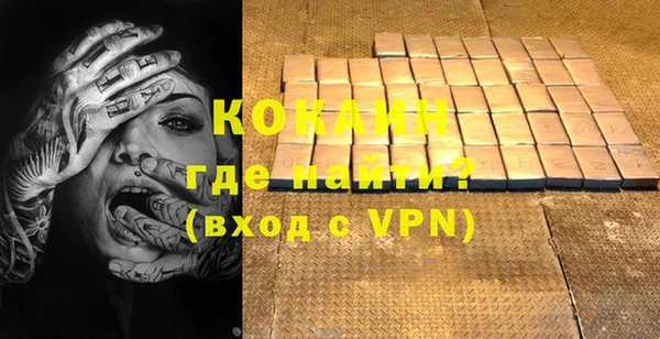 гашик Козельск