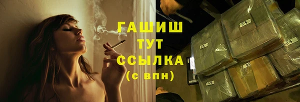 гашик Козельск