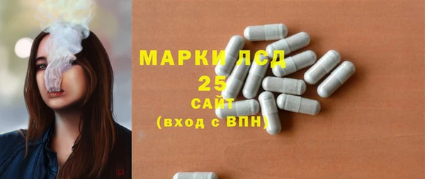 гашик Козельск