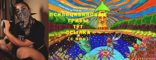 хмурый Зеленокумск