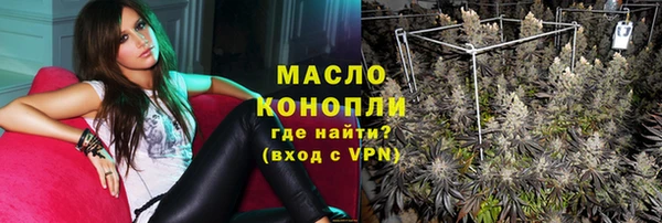 гашик Козельск