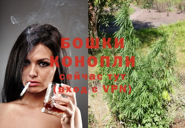 гидра Козловка