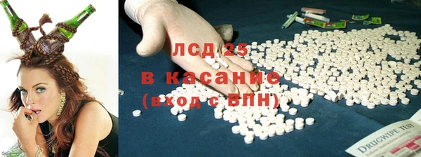 гашик Козельск