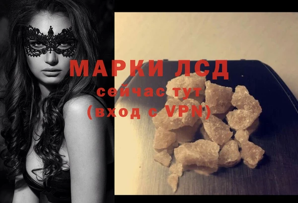гашик Козельск
