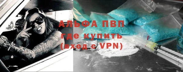 гашик Козельск