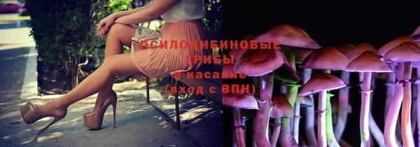 гидра Козловка