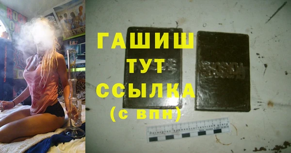 гашик Козельск
