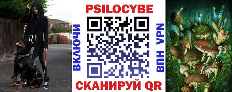 маркетплейс официальный сайт  Мценск  Галлюциногенные грибы Psilocybe 