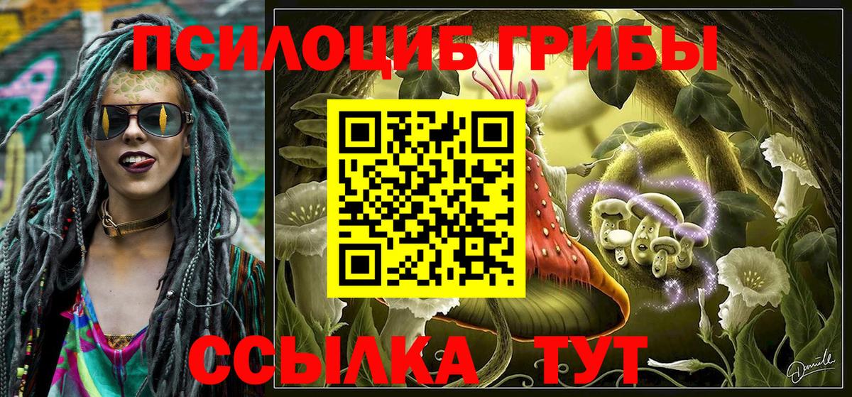 Мценск  Псилоцибиновые грибы Psilocybe  где можно купить наркотик  Вход с VPN  Галлюциногенные грибы прущие грибы 